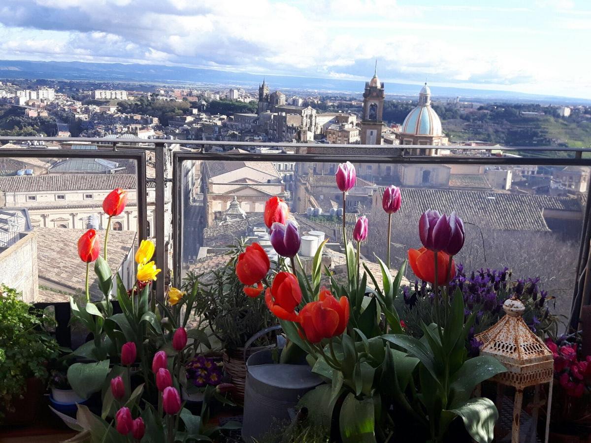 Casa Tipica Siciliana Patronale Home Bedandbreakfast Tremetrisoprailcielo Camere Con Vista, Colazione Interna In Terrazzo Panoramico Кальтаджіроне Екстер'єр фото