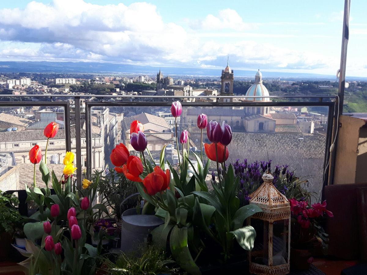 Casa Tipica Siciliana Patronale Home Bedandbreakfast Tremetrisoprailcielo Camere Con Vista, Colazione Interna In Terrazzo Panoramico Кальтаджіроне Екстер'єр фото
