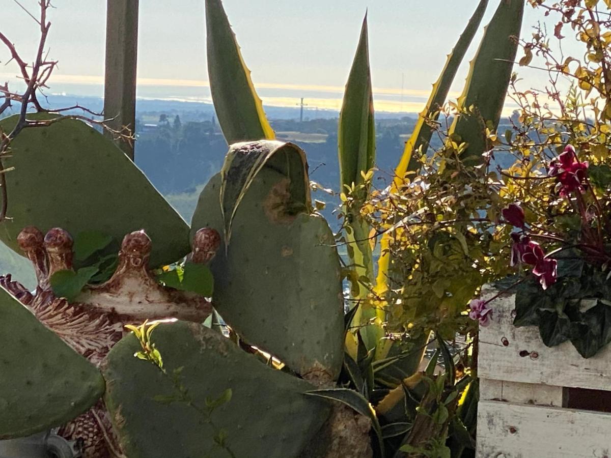 Casa Tipica Siciliana Patronale Home Bedandbreakfast Tremetrisoprailcielo Camere Con Vista, Colazione Interna In Terrazzo Panoramico Кальтаджіроне Екстер'єр фото